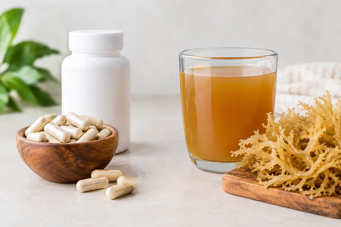 Capsules Versus Liquid Sea Moss: Which Fits?