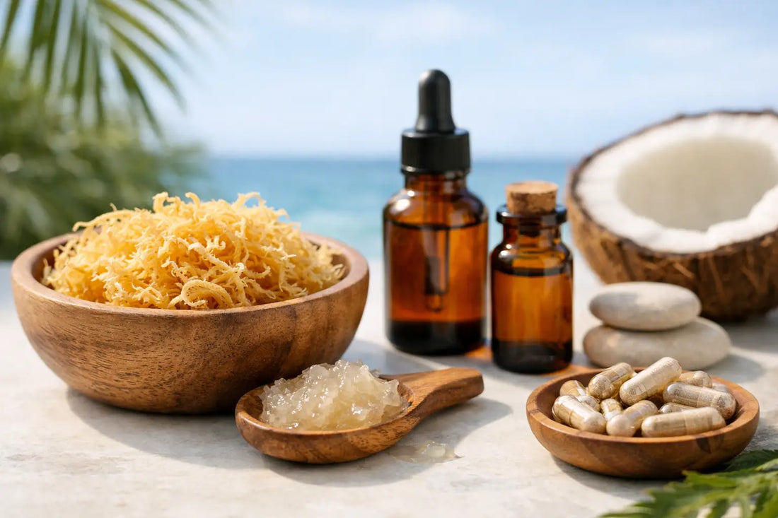 Sea Moss Benefits for Adults That Matter
