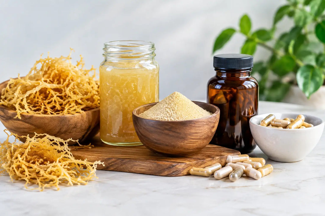 Best Sea Moss Supplement Forms for Daily Use