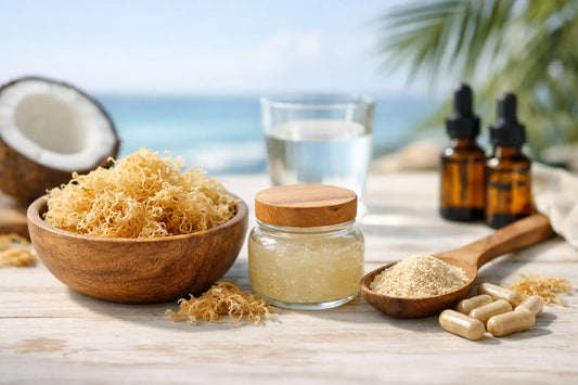 Is Sea Moss Worth Taking for Daily Wellness?